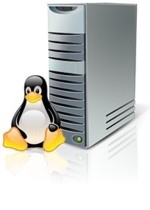 website hosting & email services